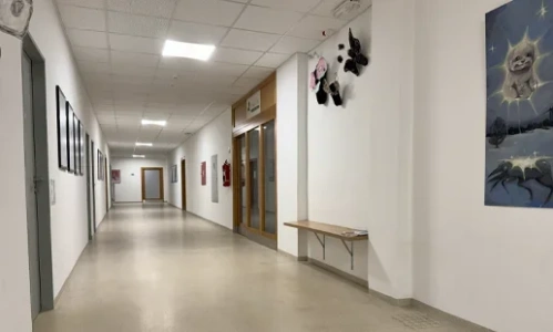 Jiří Beran - poradenství